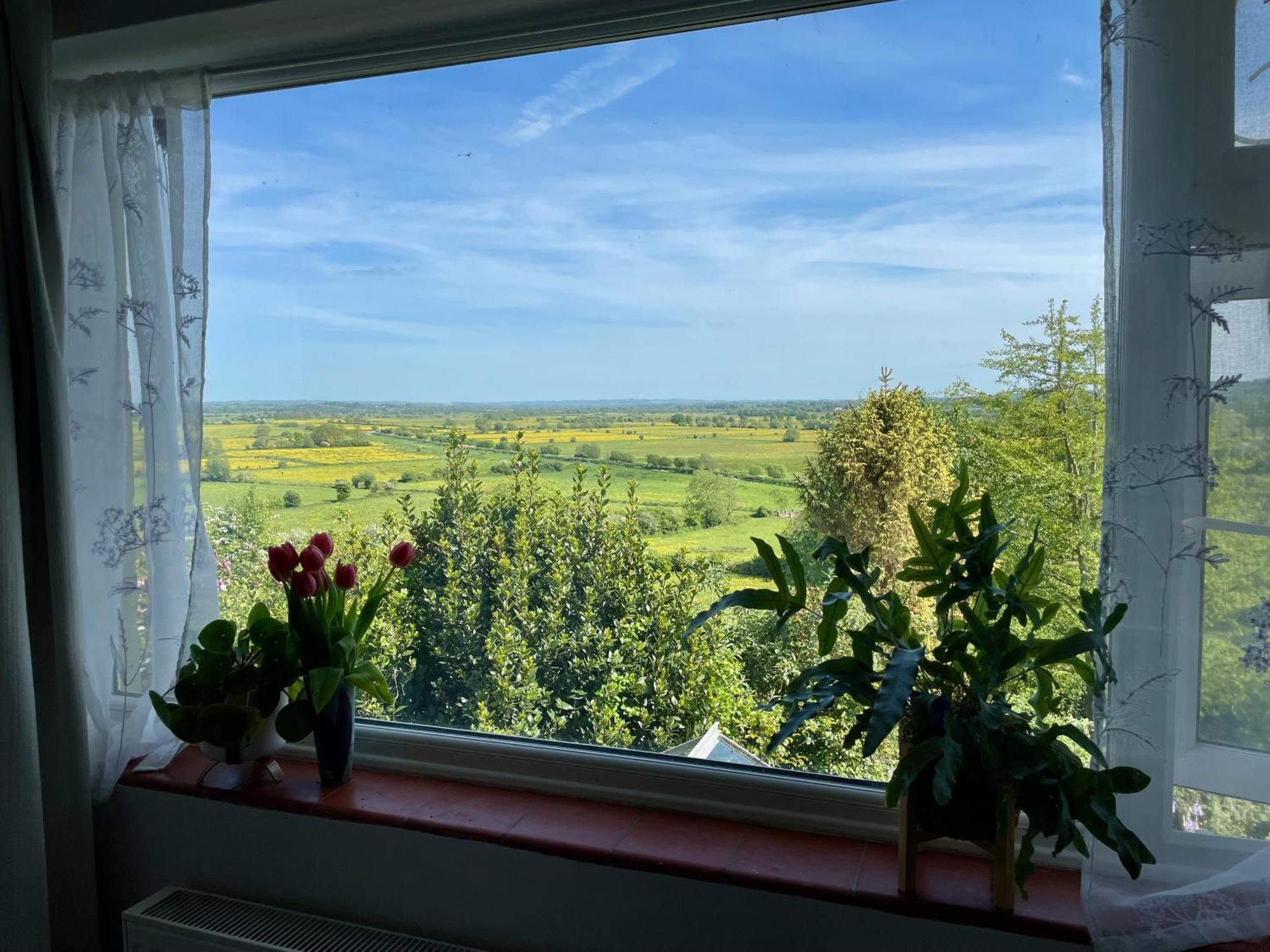 Homestay Magic Of Avalon *